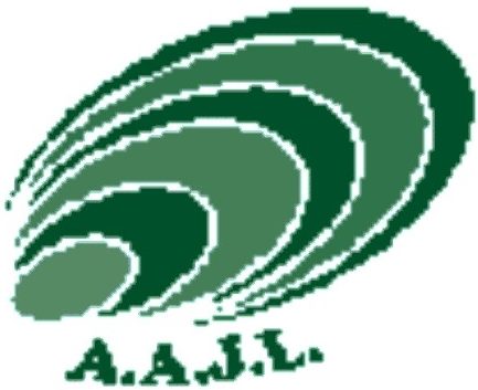 A. A. JOMATITI LIMITED